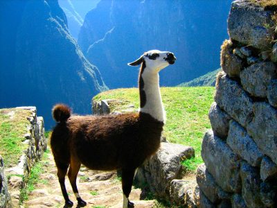 Sacred Valley of the Incas and Machu Picchu